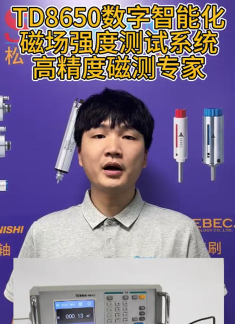 TD8650臺式高斯計