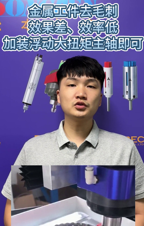 RBZ30浮動(dòng)主軸