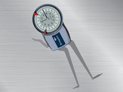 德國指針式內卡規H250 