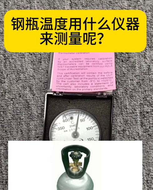 PTC雙磁固定式表面溫度計314C