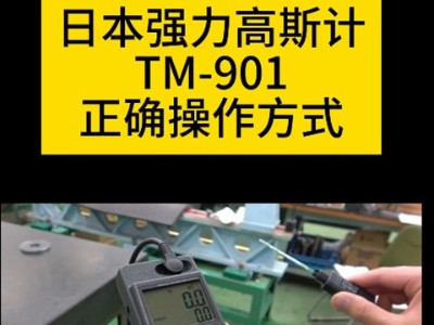 日本強(qiáng)力高斯計(jì)TM-901EXP正確操作方式