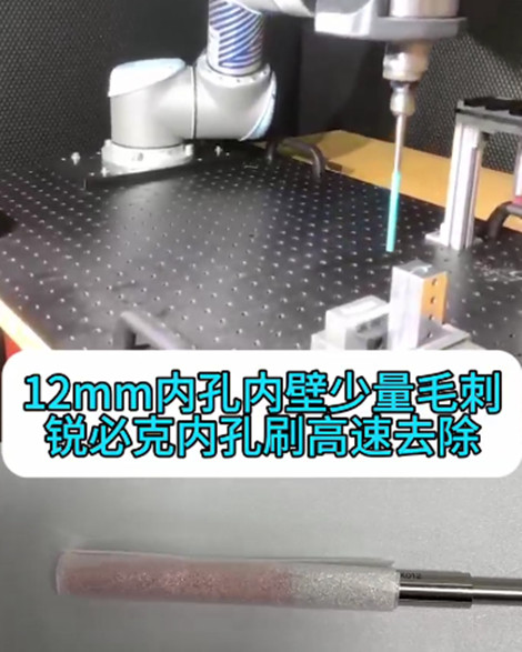 銳必克內(nèi)孔研磨刷