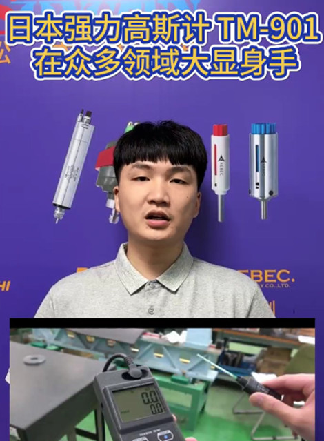 日本強力高斯計