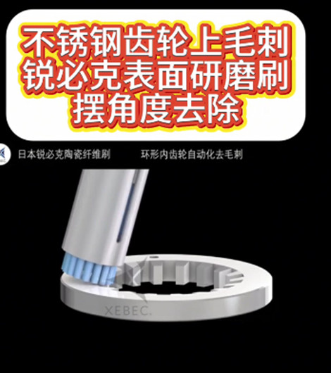 銳必克表面研磨刷