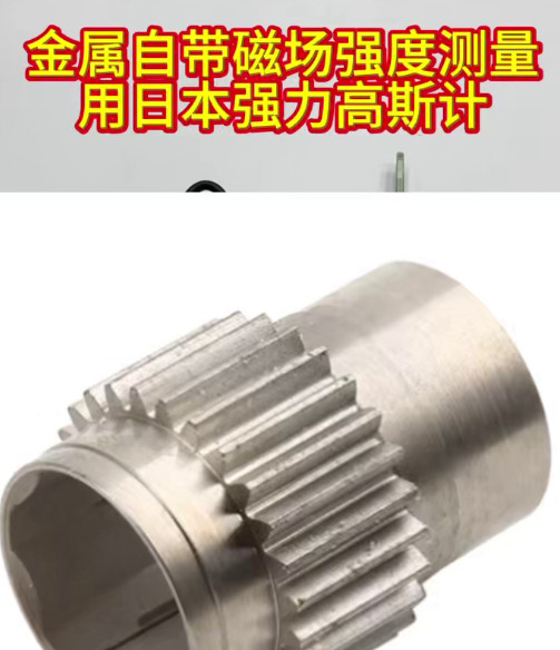 日本強力高斯計