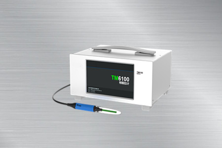 TM6100/TM6100B特斯拉計