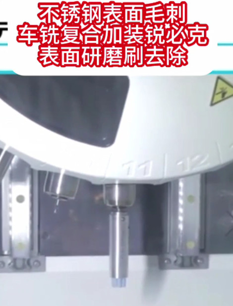 銳必克表面研磨刷