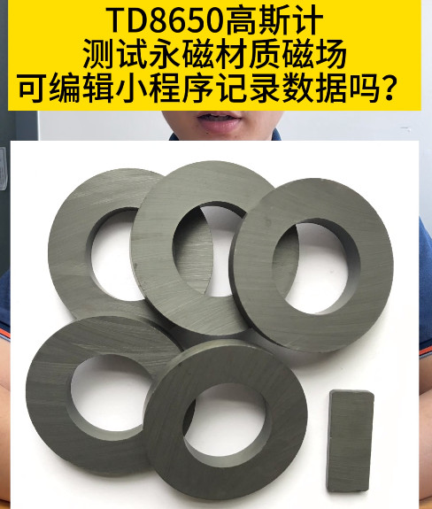 TD8650高斯計