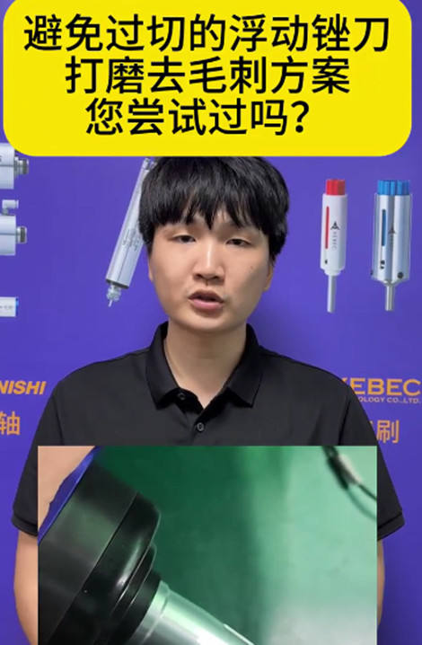 RBZ浮動(dòng)銼刀