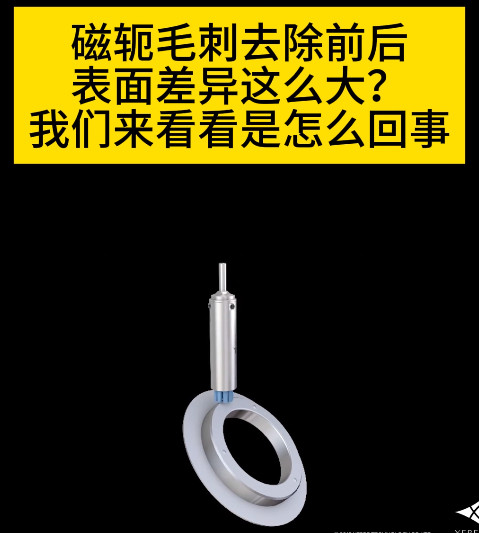 銳必克陶瓷研磨刷