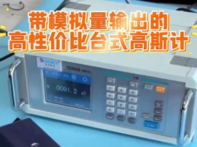 帶模擬量輸出的高性價比臺式高斯計