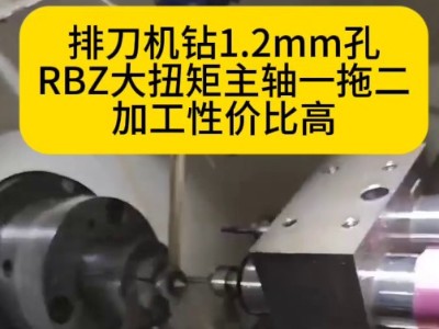 排刀機鉆1.2mm孔RBZ大扭矩主軸一拖二加工性價比高