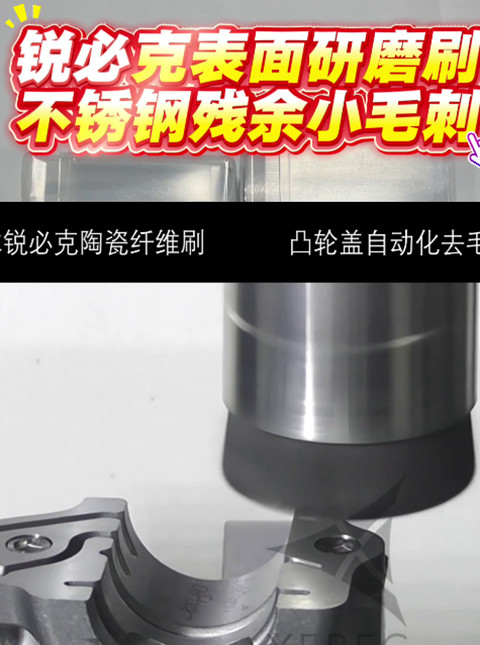 銳必克表面研磨刷